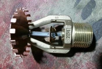 高产优质的十大油桃品种‘hth官网入口’(图2) hth官网入口