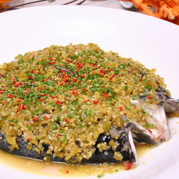 亚洲杯-沙特vs中国首发预测 沙姆拉尼伤退哈扎兹登场|hth官网入口(图1) 华体会体育hth官方网站