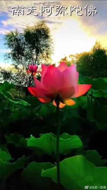 曝国际体联有意兼并跑酷 欲为其单独立项后冲奥:华体会体育hth官方网站(图1) 华体会体育hth官方网站