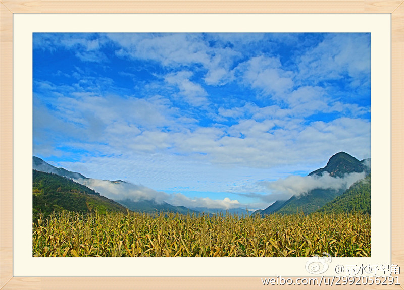 华体会体育hth官方网站