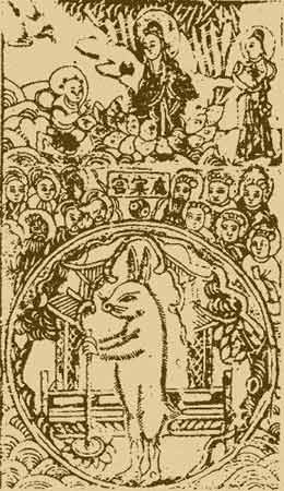 山东胶州市科技监管“网”住生态美‘华体会体育hth官方网站’(图3) hth官网入口