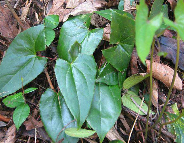 华体会体育hth官方网站