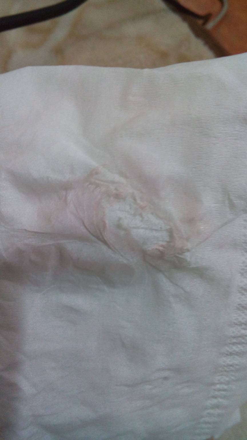 hth官网入口:美女樱哪里有卖?批发价多少钱一棵?美女樱的养殖方法和注意事项(图4) hth官网入口