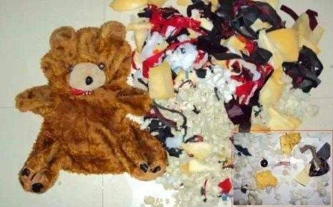 华体会体育hth官方网站_推本文笔精练的女主修仙文《逐步仙途》看女主金丹破碎后如何重修(图1) hth官网入口