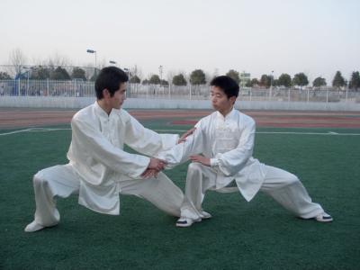 香樟价格多少钱一棵?香樟树的移栽技术介绍“hth官网入口”(图2) hth官网入口