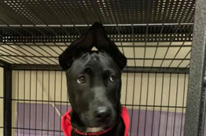 华体会体育hth官方网站|中牟河务局端午“话”安全(图3) 华体会体育hth官方网站