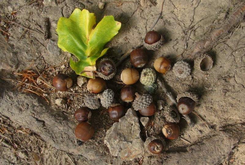 华体会体育hth官方网站