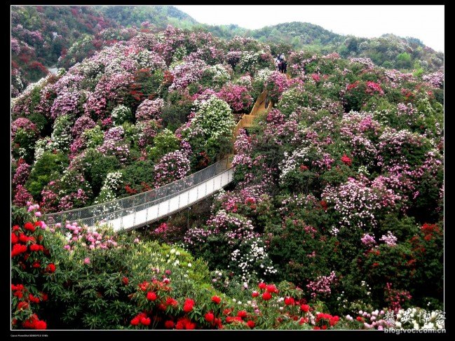 华体会体育hth官方网站