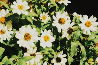 华体会体育hth官方网站