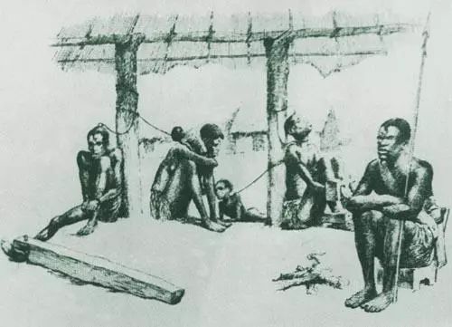 hth官网入口-黑龙江大白鹅价格多少钱一斤?大白鹅养殖前景怎么样?(图3) 华体会体育hth官方网站