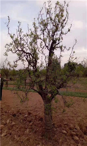 与债权人签订债务抵偿协议天翔环境危机脱困现曙光?‘hth官网入口’(图1) 华体会体育hth官方网站