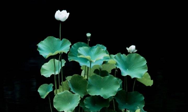 华体会体育hth官方网站