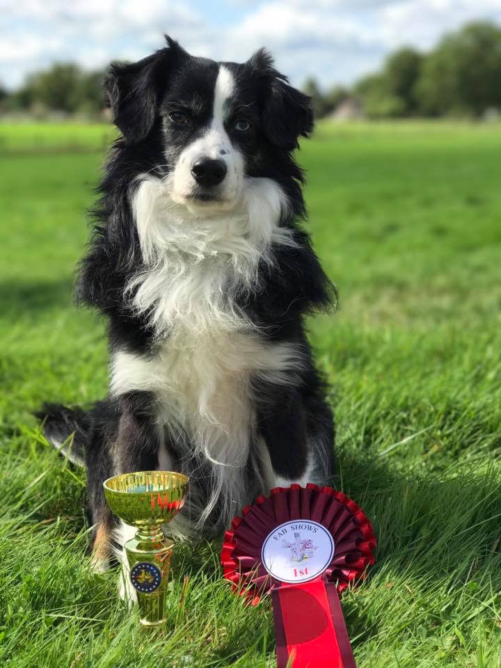 华体会体育hth官方网站