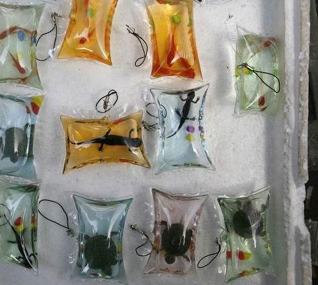 【华体会体育hth官方网站】槐花多少钱一斤?槐花几月开?槐花的栽培技术有哪些?(图2) hth官网入口