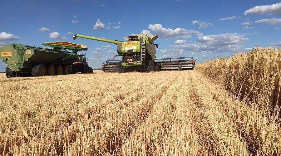 【hth官网入口】
中国农业迎来大厘革！三部曲已奏响 农业大国正向农业强国迈进！(图3)