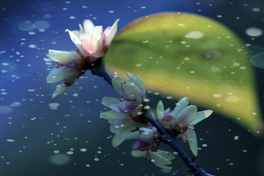 hth官网入口|中原公司开展“三个一”活动祭清明(图1) hth官网入口