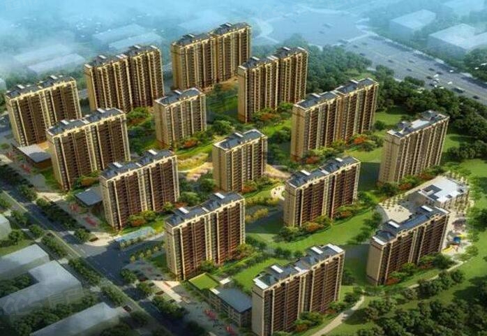 冬瓜价格走低适当加工可增加收益‘华体会体育hth官方网站’(图4) hth官网入口