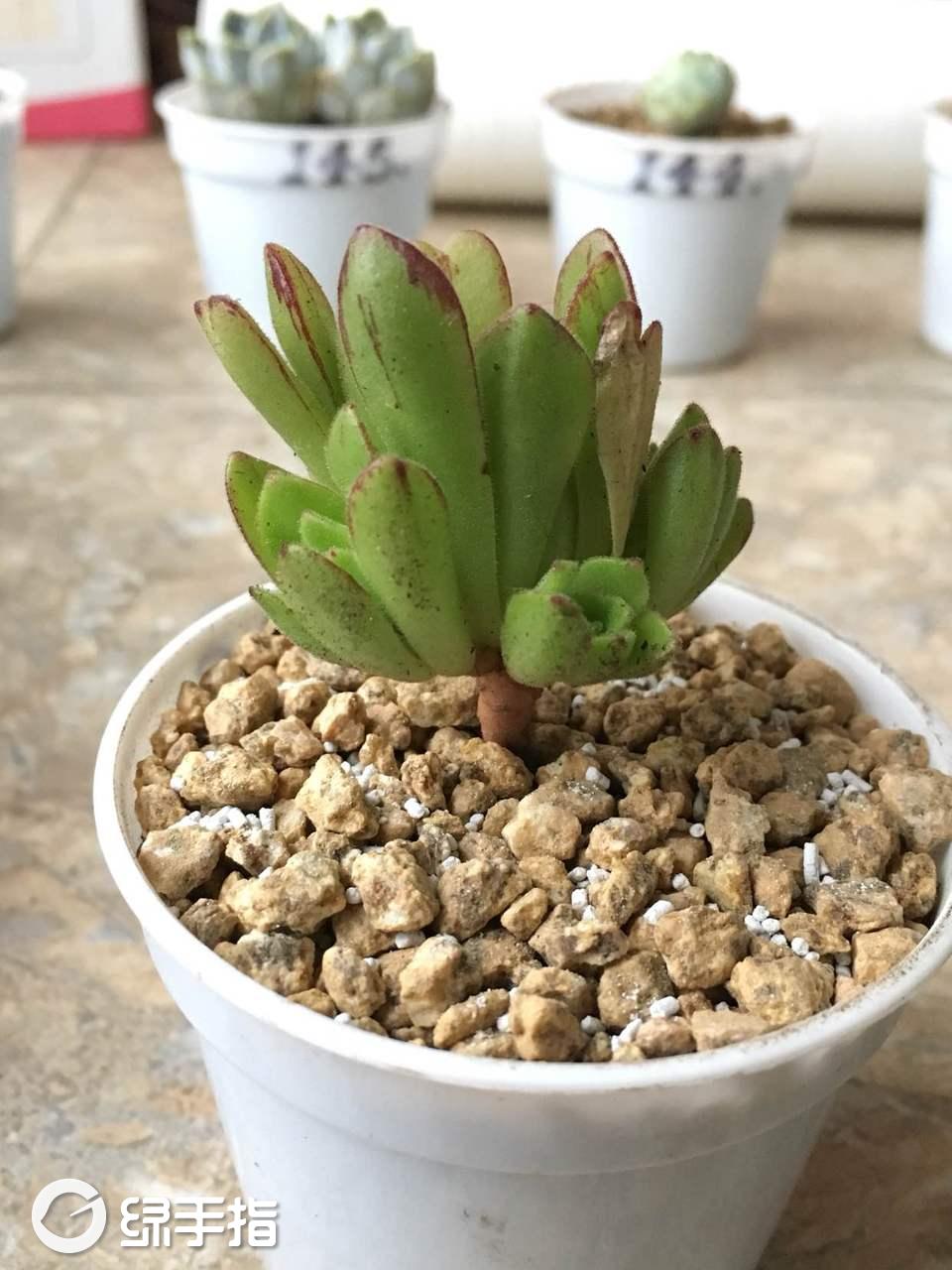 华体会体育hth官方网站:农村快递如何走好“最后一公里”?(图4) 华体会体育hth官方网站