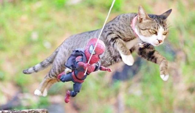 华体会体育hth官方网站